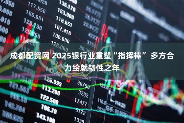 成都配资网 2025银行业重塑“指挥棒” 多方合力绘就韧性之年