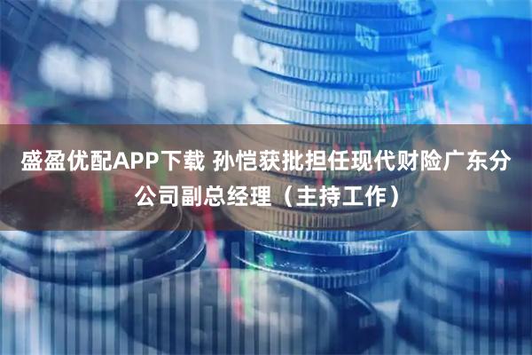 盛盈优配APP下载 孙恺获批担任现代财险广东分公司副总经理（主持工作）