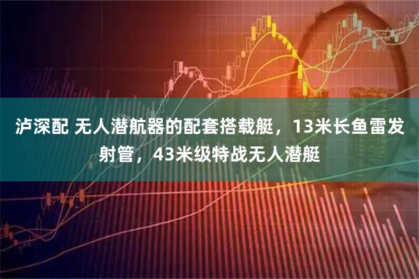泸深配 无人潜航器的配套搭载艇，13米长鱼雷发射管，43米级特战无人潜艇